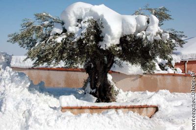 Rencontre entre Olivier et Neige